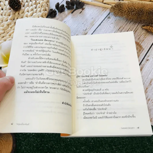 ในแสงแดดมีดวงดาว รูปที่ 10