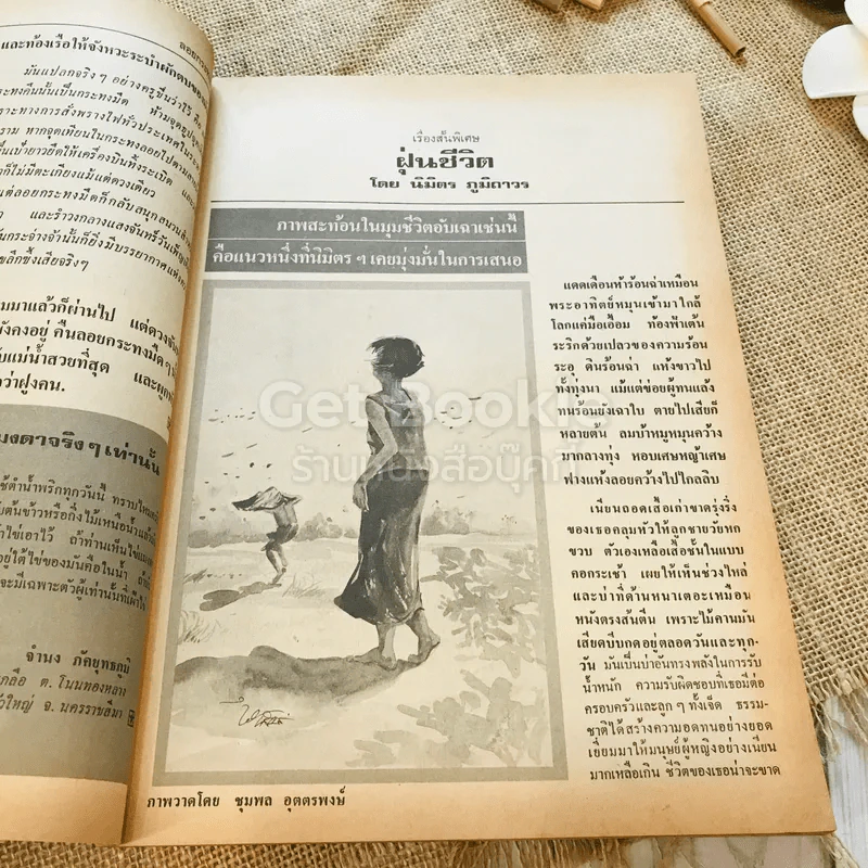 ฟ้าเมืองทอง ฉบับที่ 69 ธ.ค.2524 รูปที่ 12