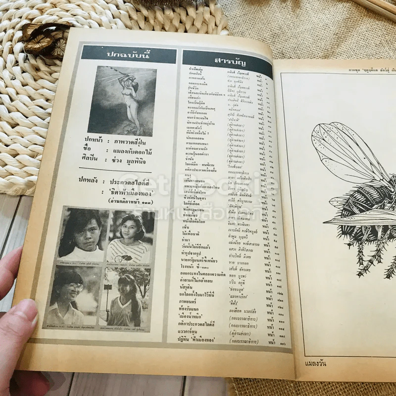 ฟ้าเมืองทอง ฉบับที่ 69 ธ.ค.2524 รูปที่ 7