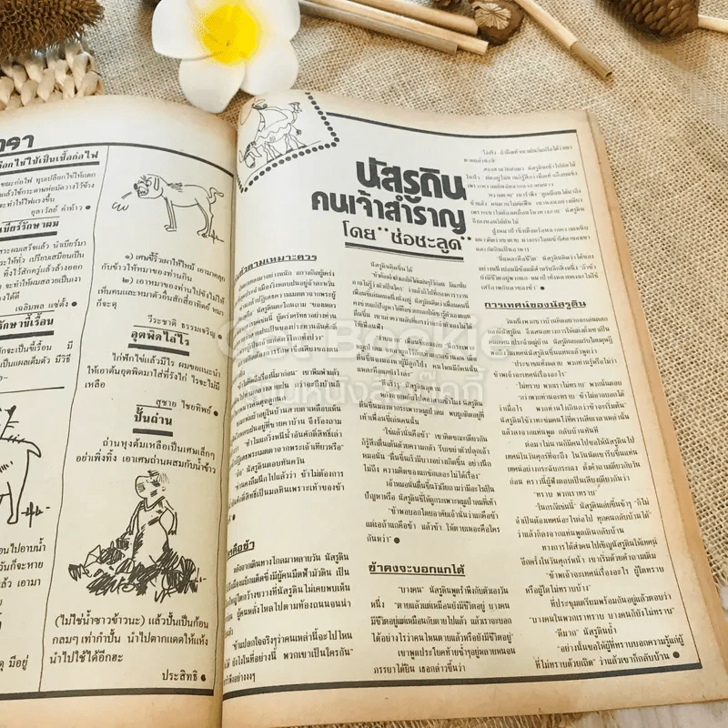 ฟ้าเมืองทอง ฉบับที่ 94 ม.ค.2527 รูปที่ 24