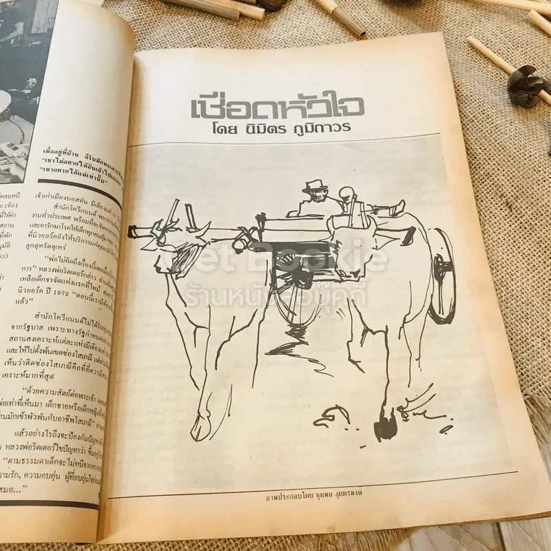 ฟ้าเมืองทอง ฉบับที่ 95 ก.พ.2527 รูปที่ 13