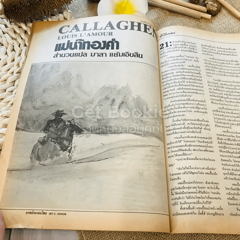 ฟ้าเมืองทอง ฉบับที่ 95 ก.พ.2527 รูปที่ 22