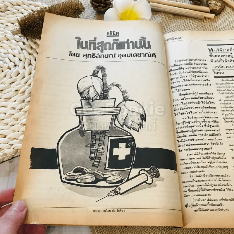 ฟ้าเมืองทอง ฉบับที่ 95 ก.พ.2527 รูปที่ 16