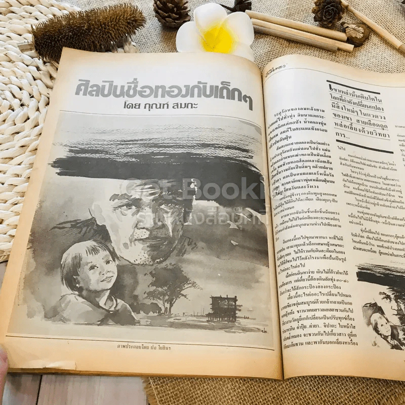 ฟ้าเมืองทอง ฉบับที่ 95 ก.พ.2527 รูปที่ 27