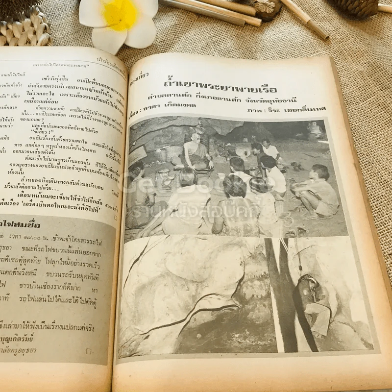 ฟ้าเมืองทอง ฉบับที่ 52 ก.ค.2523 รูปที่ 31