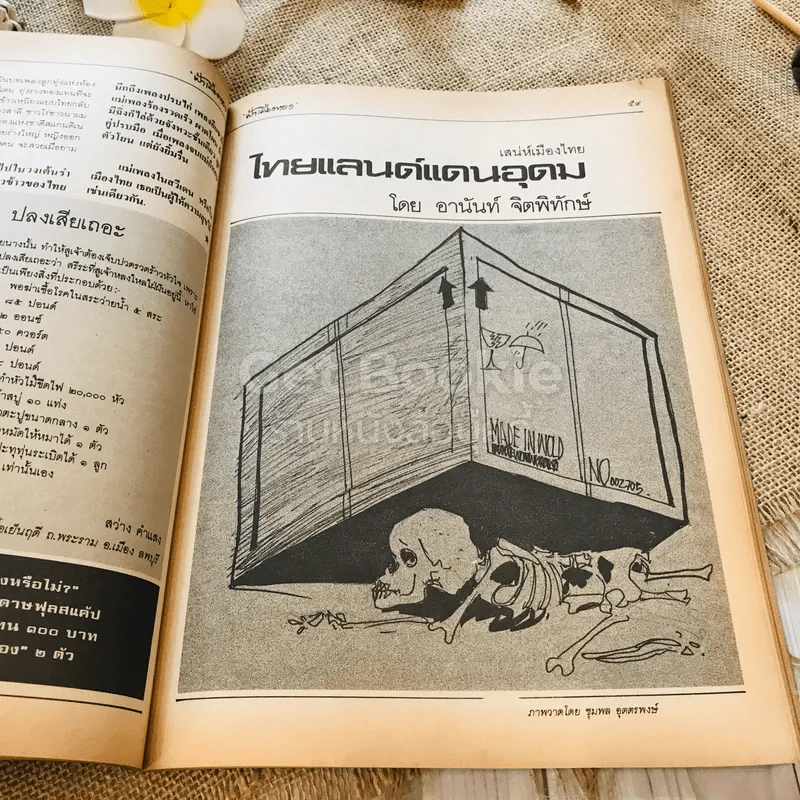 ฟ้าเมืองทอง ฉบับที่ 81 ธ.ค.2525 รูปที่ 22