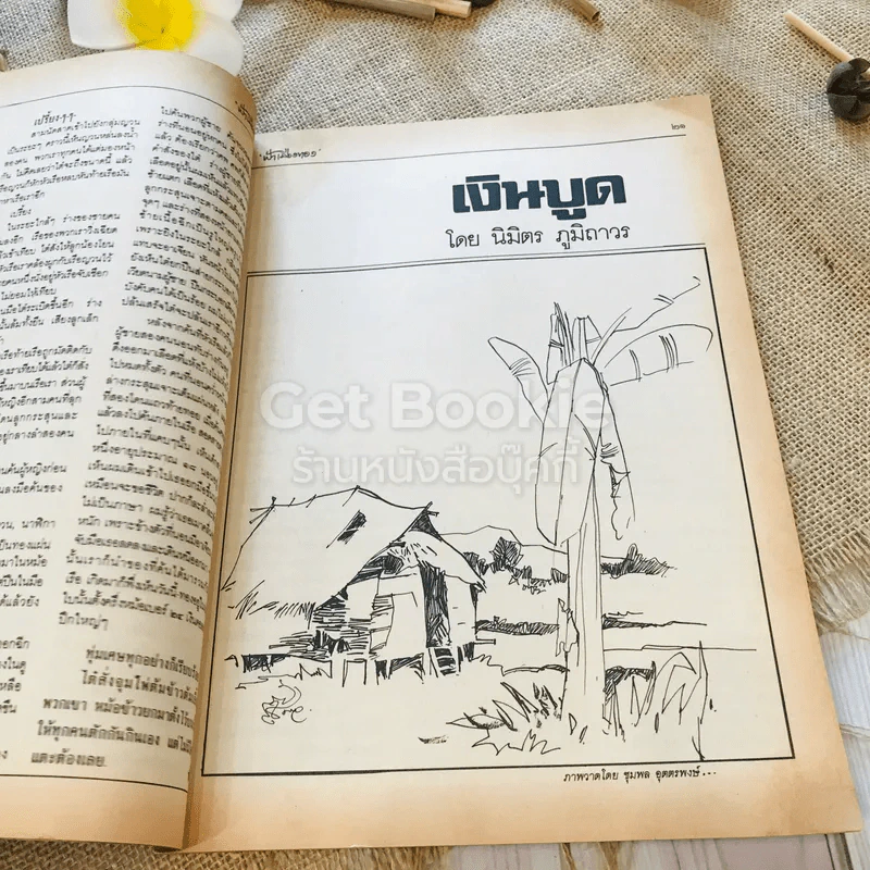 ฟ้าเมืองทอง ฉบับที่ 81 ธ.ค.2525 รูปที่ 13
