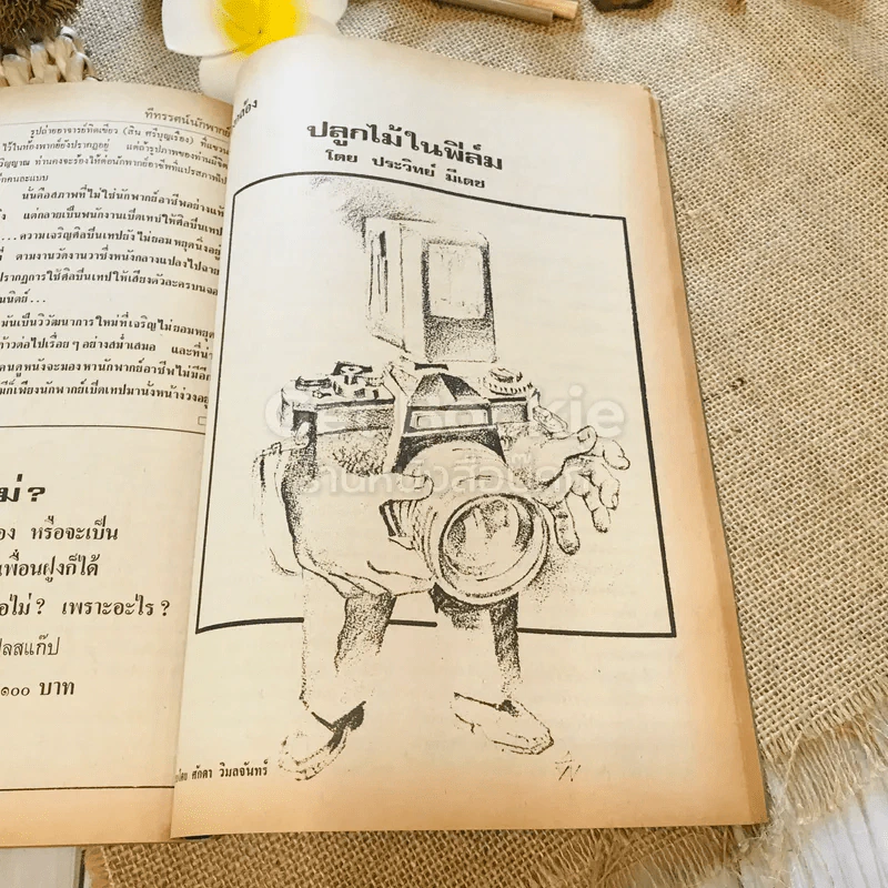 ฟ้าเมืองทอง ฉบับที่ 42 ก.ย.2522 รูปที่ 35