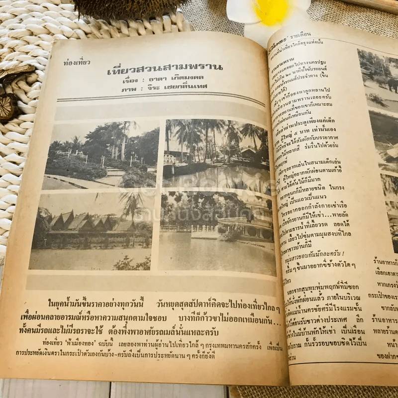 ฟ้าเมืองทอง ฉบับที่ 42 ก.ย.2522 รูปที่ 30