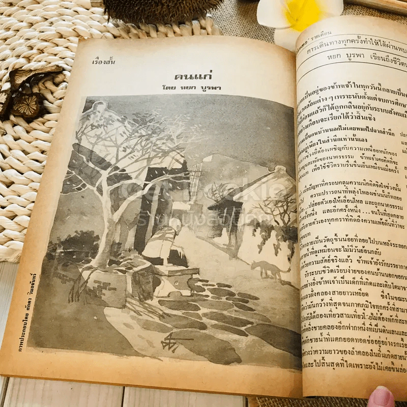 ฟ้าเมืองทอง ฉบับที่ 42 ก.ย.2522 รูปที่ 38