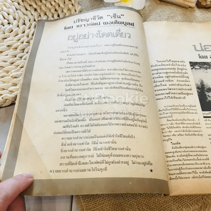 ฟ้าเมืองทอง ฉบับที่ 96 มี.ค.2527 รูปที่ 10