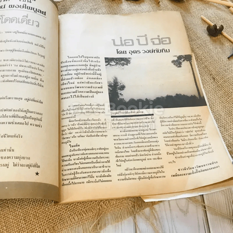 ฟ้าเมืองทอง ฉบับที่ 96 มี.ค.2527 รูปที่ 11