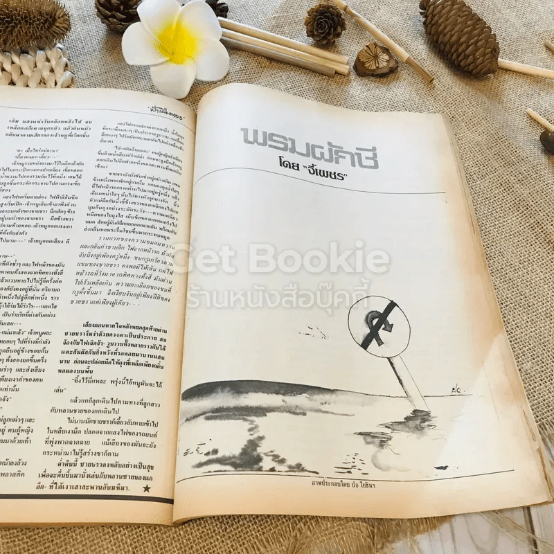 ฟ้าเมืองทอง ฉบับที่ 96 มี.ค.2527 รูปที่ 25