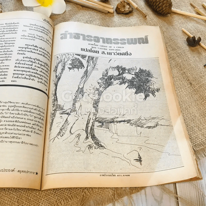 ฟ้าเมืองทอง ฉบับที่ 96 มี.ค.2527 รูปที่ 19