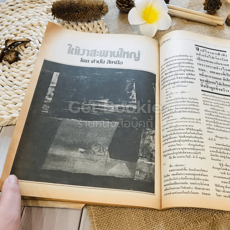 ฟ้าเมืองทอง ฉบับที่ 96 มี.ค.2527 รูปที่ 24