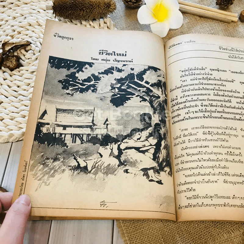 ฟ้าเมืองทอง ฉบับที่ 35 ก.พ.2522 รูปที่ 24