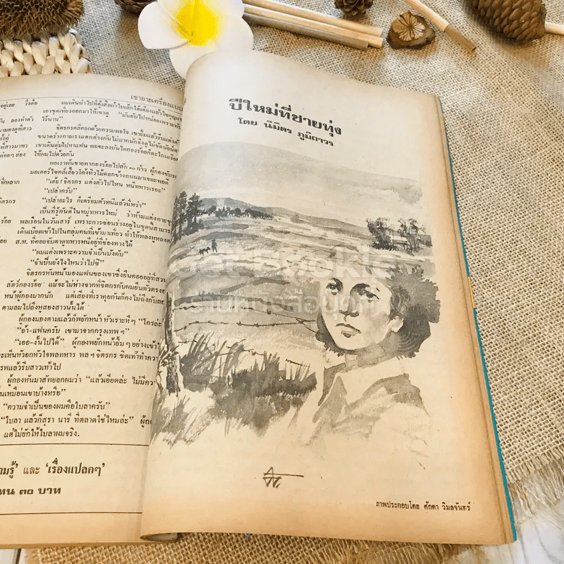 ฟ้าเมืองทอง ฉบับที่ 35 ก.พ.2522 รูปที่ 34