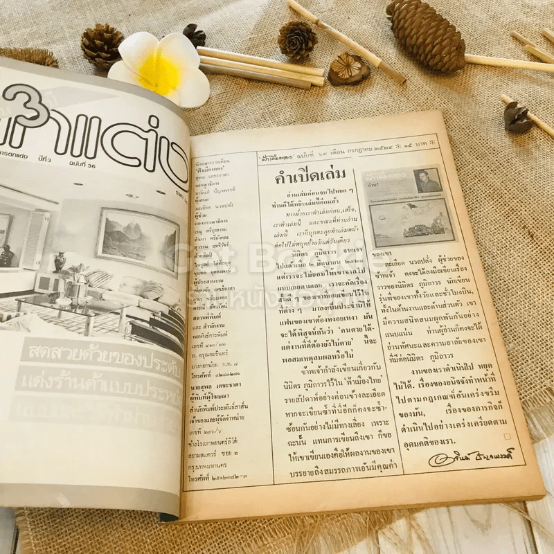 ฟ้าเมืองทอง ฉบับที่ 64 ก.ค.2524 รูปที่ 7
