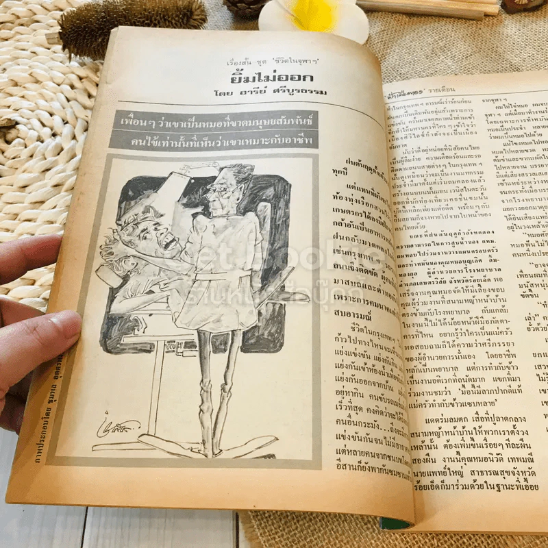 ฟ้าเมืองทอง ฉบับที่ 64 ก.ค.2524 รูปที่ 14