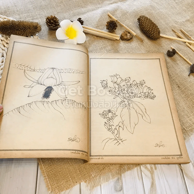 ฟ้าเมืองทอง ฉบับที่ 58 ม.ค.2524 รูปที่ 8