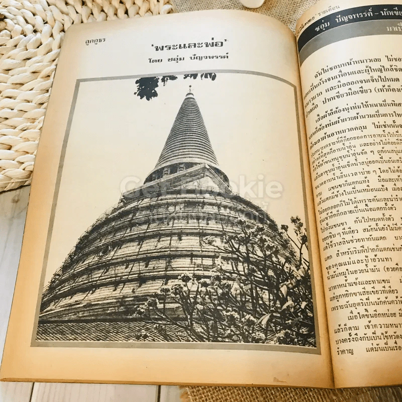 ฟ้าเมืองทอง ฉบับที่ 58 ม.ค.2524 รูปที่ 30