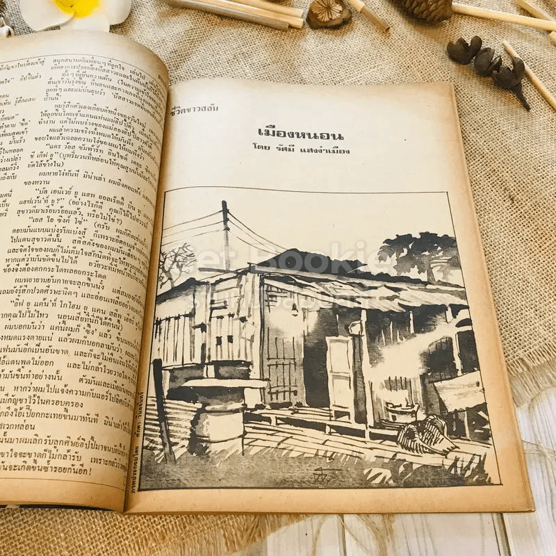 ฟ้าเมืองทอง ฉบับที่ 14 พ.ค.2520 รูปที่ 19