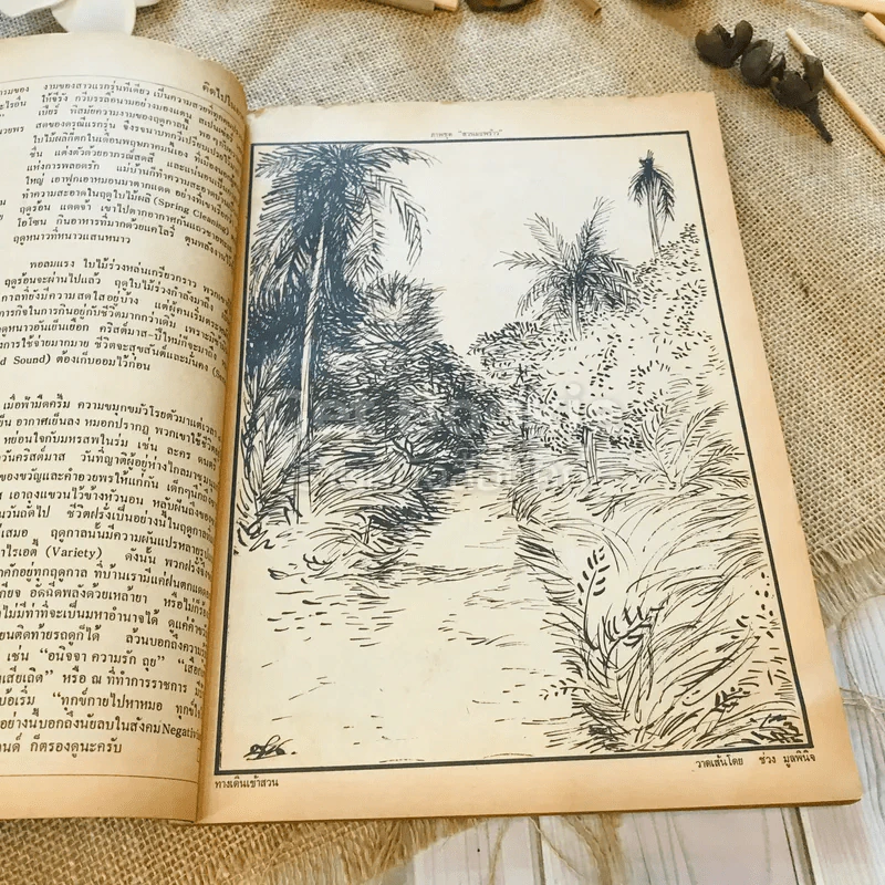 ฟ้าเมืองทอง ฉบับที่ 14 พ.ค.2520 รูปที่ 9