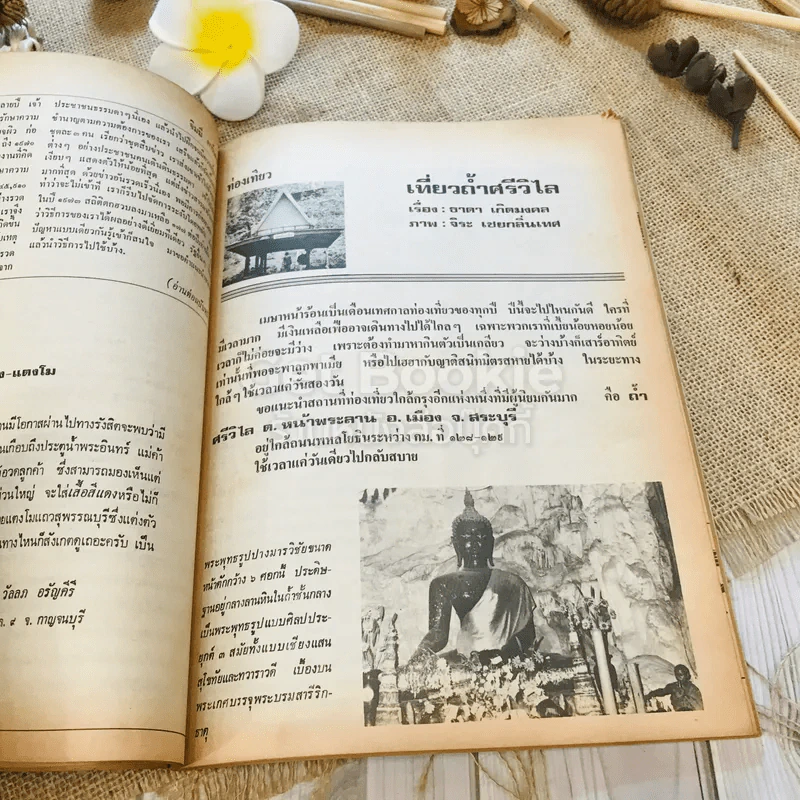 ฟ้าเมืองทอง ฉบับที่ 25 เม.ย.2521 รูปที่ 21