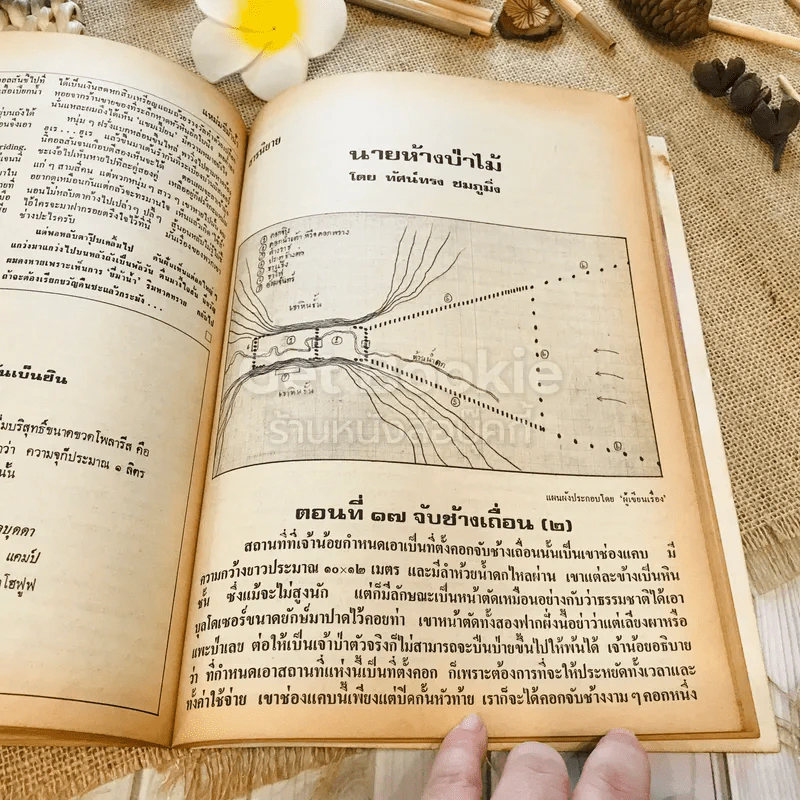 ฟ้าเมืองทอง ฉบับที่ 25 เม.ย.2521 รูปที่ 30