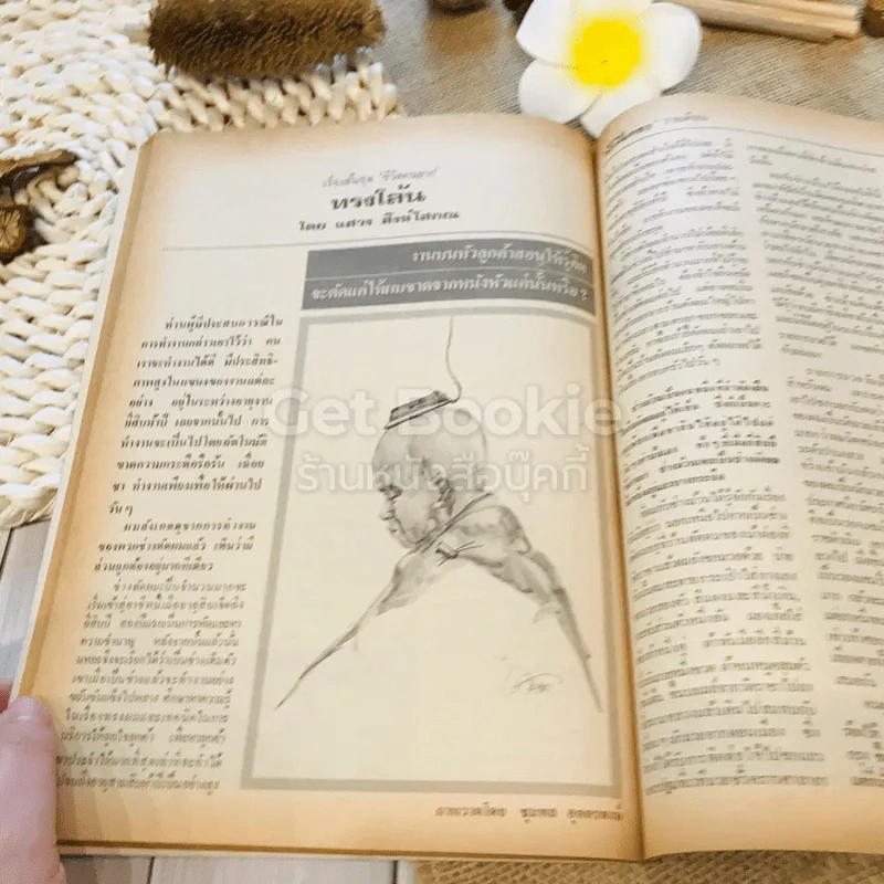 ฟ้าเมืองทอง ฉบับที่ 67 ต.ค.2524 รูปที่ 25