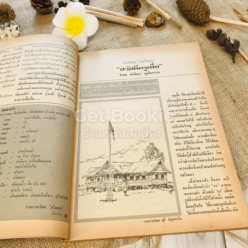 ฟ้าเมืองทอง ฉบับที่ 67 ต.ค.2524 รูปที่ 10