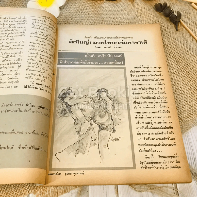 ฟ้าเมืองทอง ฉบับที่ 65 ส.ค.2524 รูปที่ 11