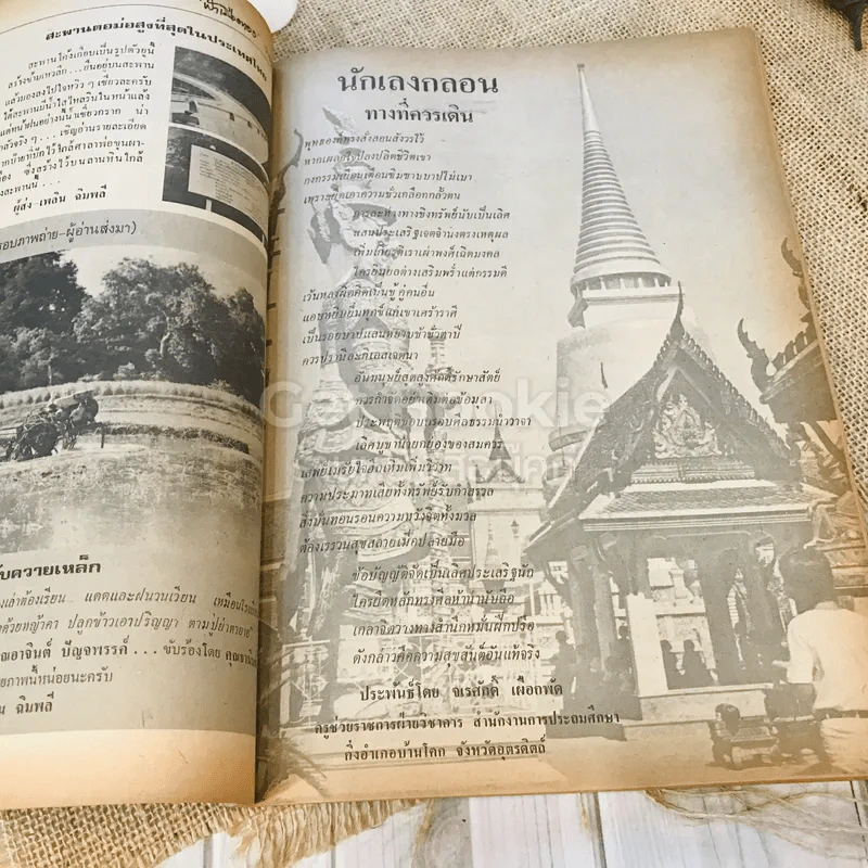ฟ้าเมืองทอง ฉบับที่ 65 ส.ค.2524 รูปที่ 18