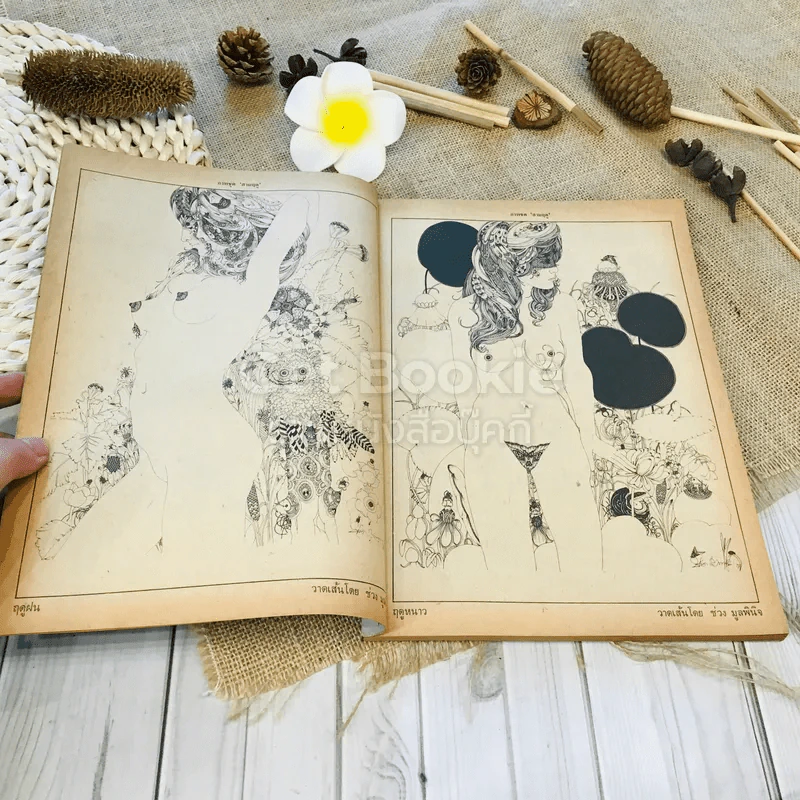 ฟ้าเมืองทอง ฉบับที่ 65 ส.ค.2524 รูปที่ 8