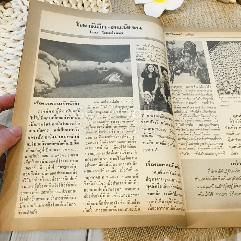 ฟ้าเมืองทอง ฉบับที่ 60 มี.ค.2524 รูปที่ 9