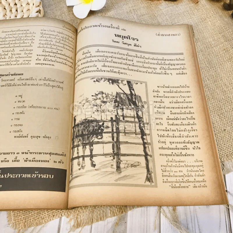 ฟ้าเมืองทอง ฉบับที่ 60 มี.ค.2524 รูปที่ 24
