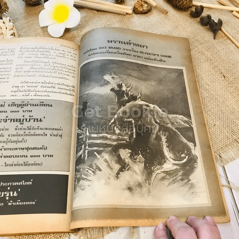 ฟ้าเมืองทอง ฉบับที่ 49 เม.ย.2523 รูปที่ 39