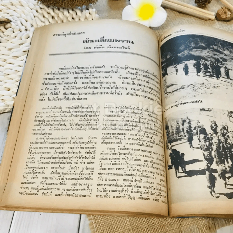 ฟ้าเมืองทอง ฉบับที่ 16 ก.ค.2520 รูปที่ 27