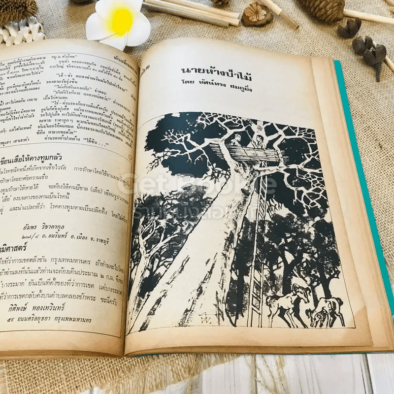 ฟ้าเมืองทอง ฉบับที่ 16 ก.ค.2520 รูปที่ 28