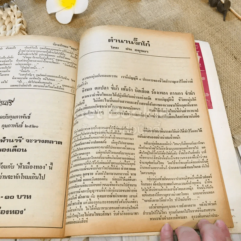 ฟ้าเมืองทอง ฉบับที่ 11 ก.พ.2520 รูปที่ 36