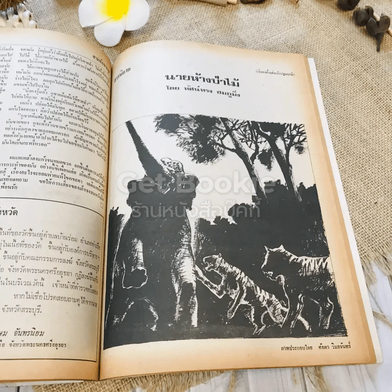 ฟ้าเมืองทอง ฉบับที่ 11 ก.พ.2520 รูปที่ 28
