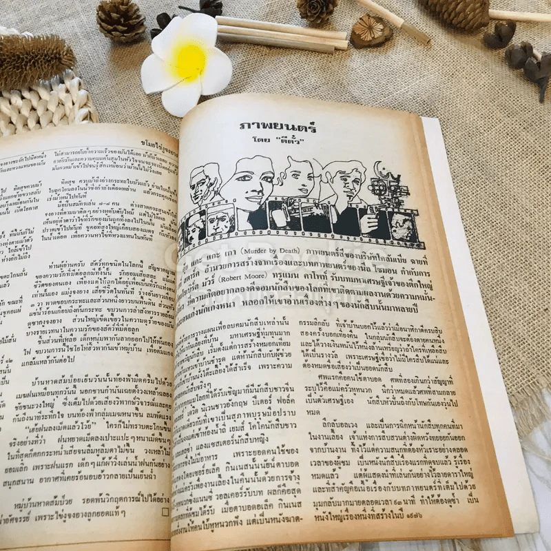 ฟ้าเมืองทอง ฉบับที่ 11 ก.พ.2520 รูปที่ 31