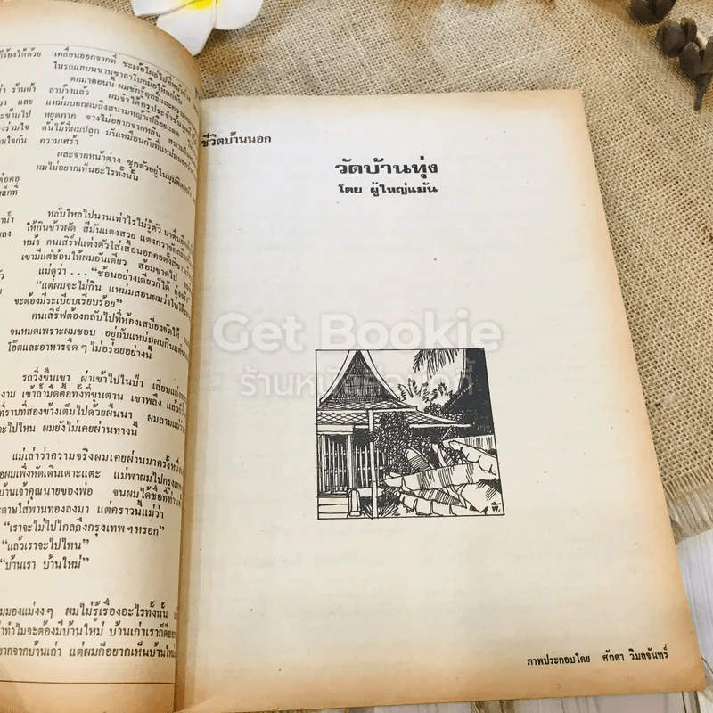 ฟ้าเมืองทอง ฉบับที่ 11 ก.พ.2520 รูปที่ 18