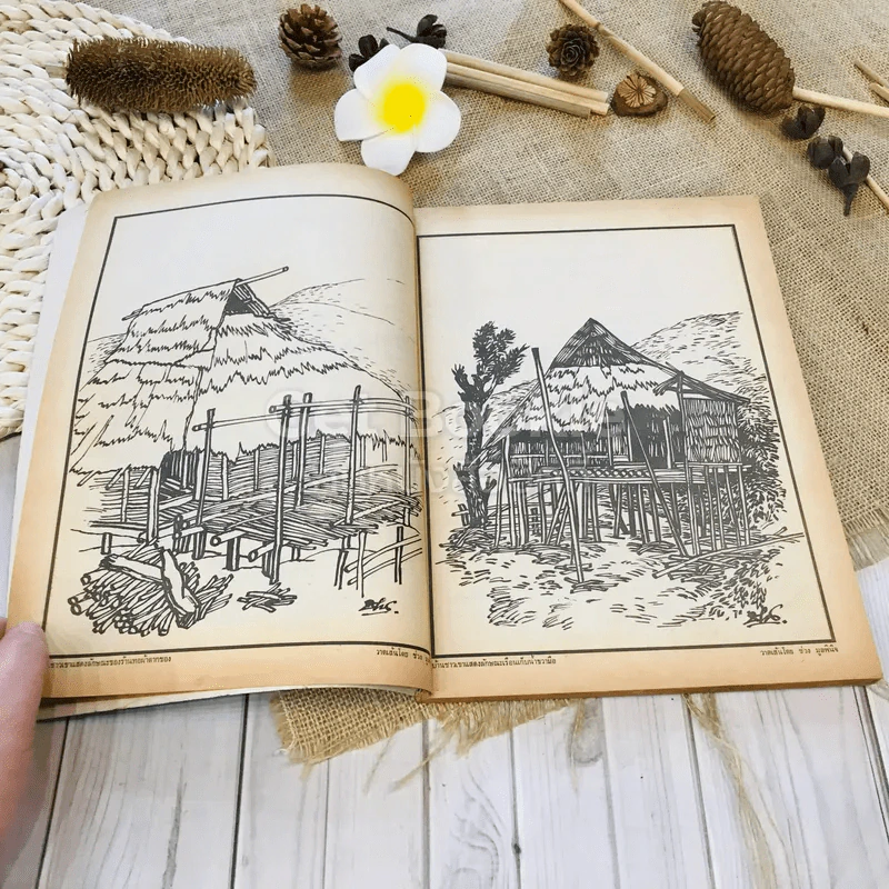 ฟ้าเมืองทอง ฉบับที่ 11 ก.พ.2520 รูปที่ 9