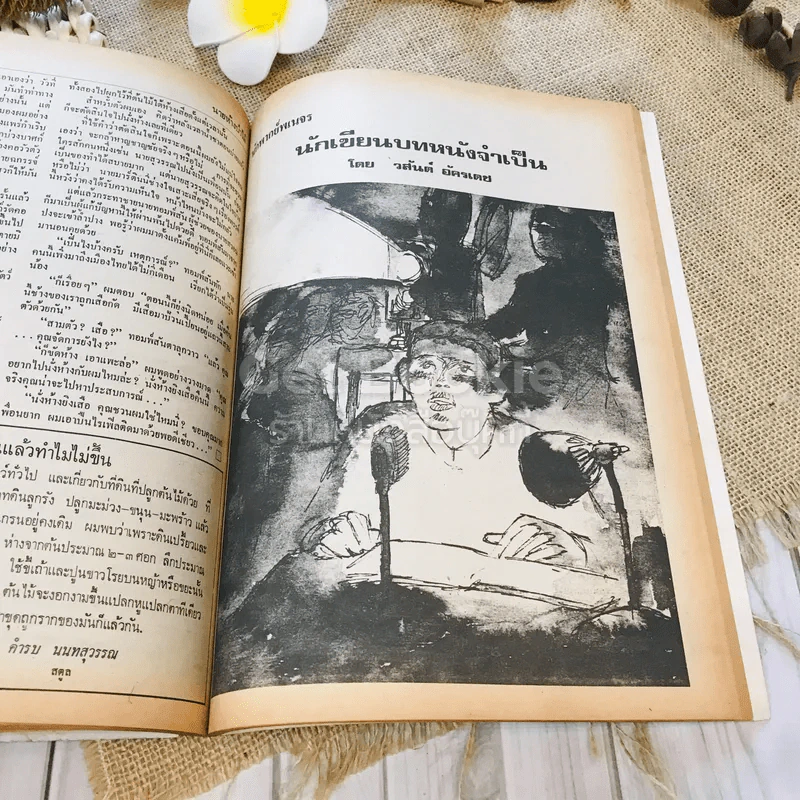 ฟ้าเมืองทอง ฉบับที่ 11 ก.พ.2520 รูปที่ 29