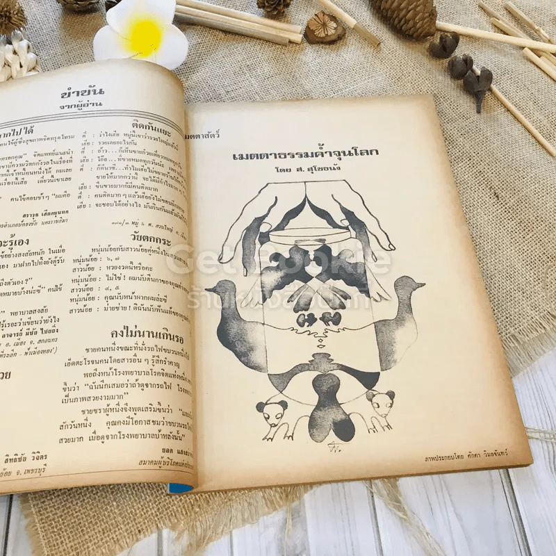 ฟ้าเมืองทอง ฉบับที่ 31 ต.ค.2521 รูปที่ 10
