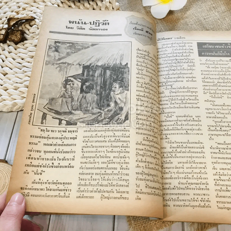 ฟ้าเมืองทอง ฉบับที่ 71 ก.พ.2525 รูปที่ 17