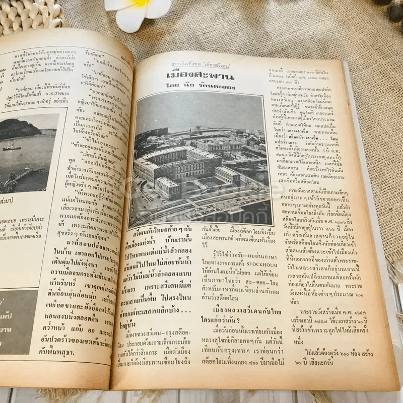 ฟ้าเมืองทอง ฉบับที่ 71 ก.พ.2525 รูปที่ 21