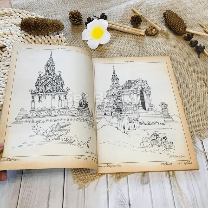 ฟ้าเมืองทอง ฉบับที่ 71 ก.พ.2525 รูปที่ 7