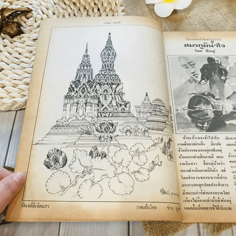 ฟ้าเมืองทอง ฉบับที่ 71 ก.พ.2525 รูปที่ 8